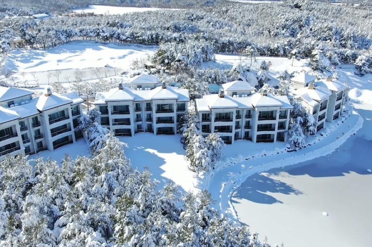 Pineridge Hotel Sokcho Bagian luar foto