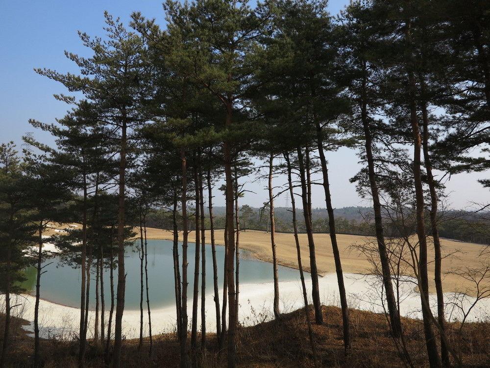 Pineridge Hotel Sokcho Bagian luar foto
